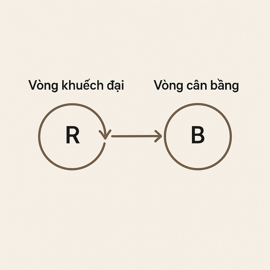 Biểu đồ hai vòng phản hồi trong tư duy hệ thống: vòng khuếch đại (reinforcing) và vòng cân bằng (balancing)